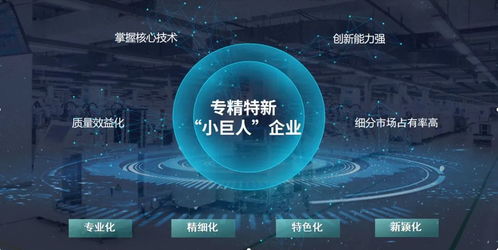 玄羽科技榮膺國家級“專精特新”小巨人企業，引領工業互聯網數據服務新篇章